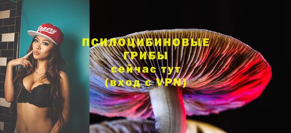 гашик Беломорск