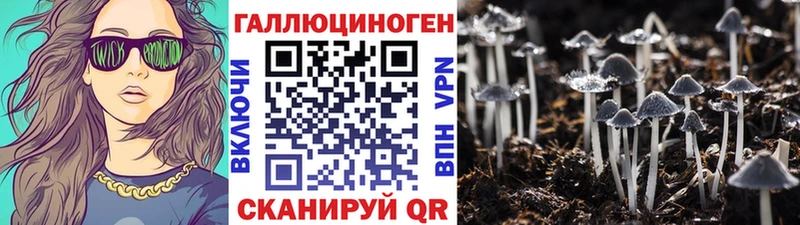 Псилоцибиновые грибы мицелий  Кологрив 